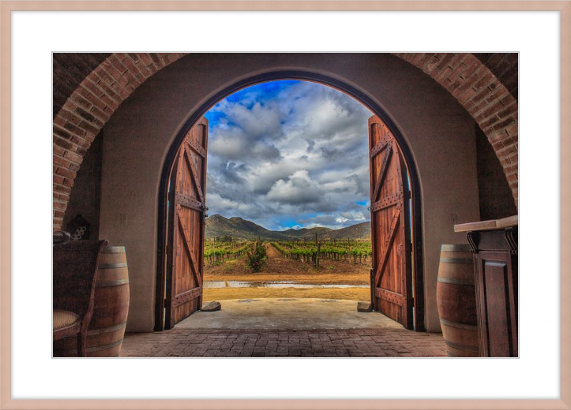 Cellar Doors