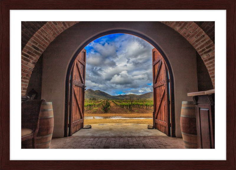 Cellar Doors