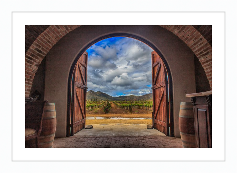 Cellar Doors