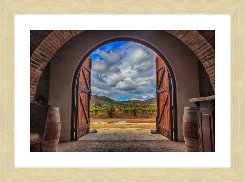 Cellar Doors