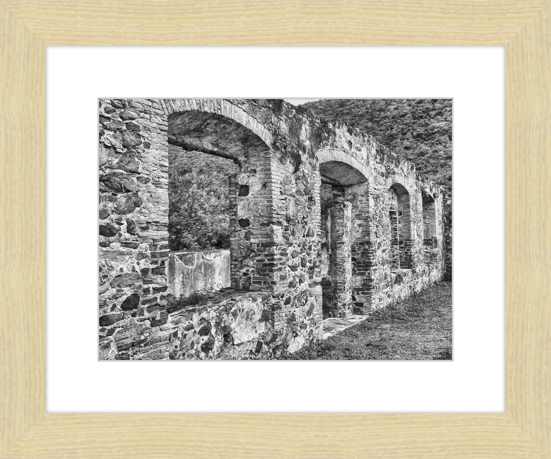 Annaberg Sugar Mill Arches - B&W