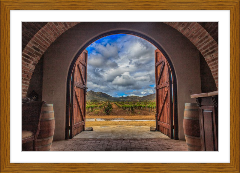Cellar Doors
