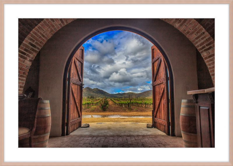 Cellar Doors