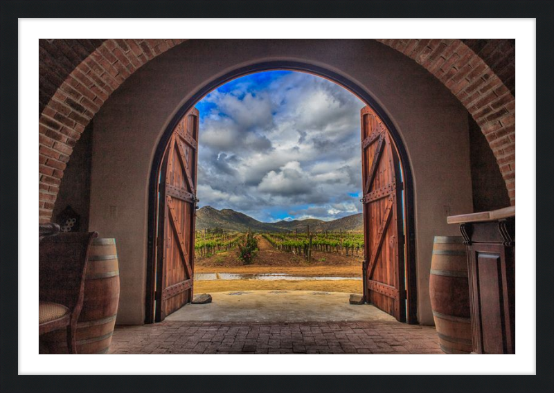 Cellar Doors