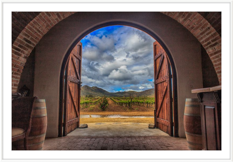 Cellar Doors