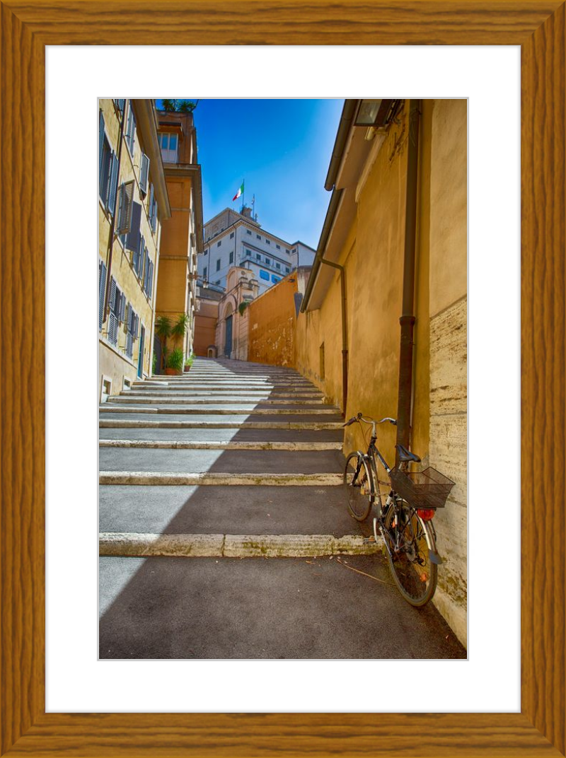 Bicycle on the Stairs