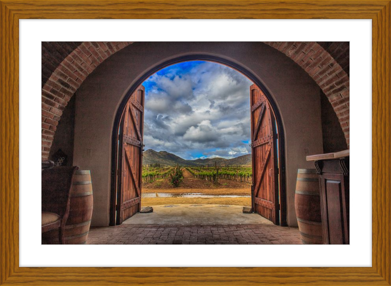 Cellar Doors