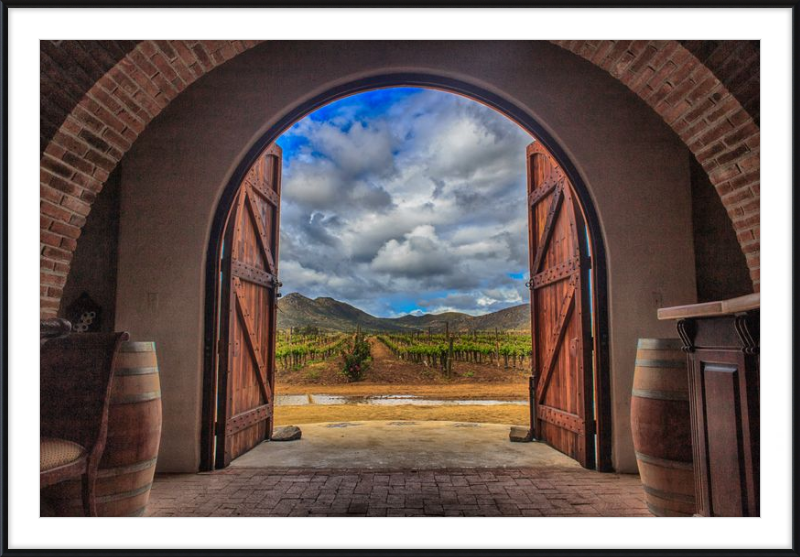 Cellar Doors