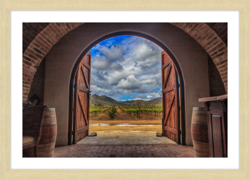Cellar Doors