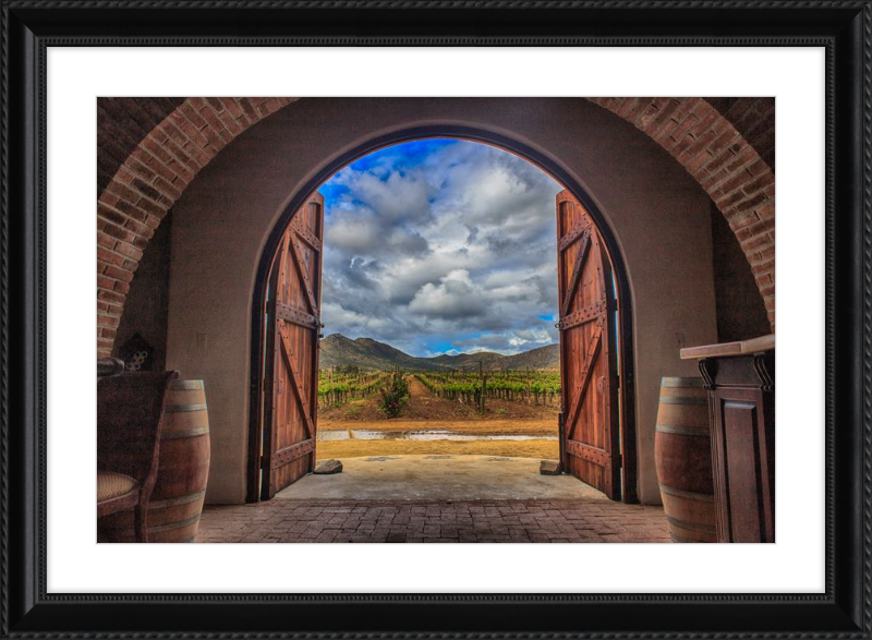 Cellar Doors