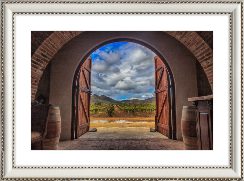 Cellar Doors