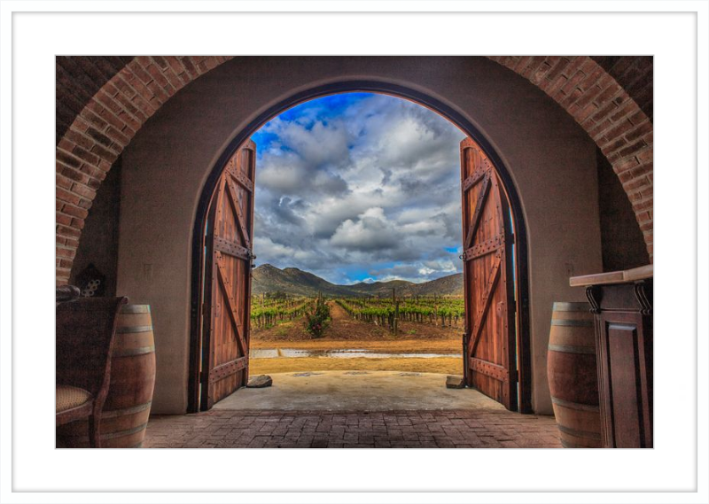 Cellar Doors