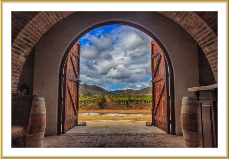 Cellar Doors
