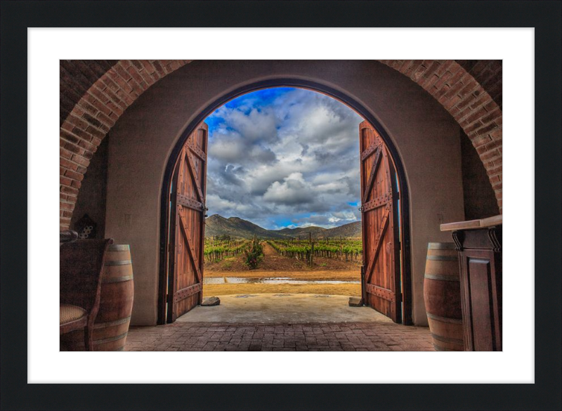 Cellar Doors