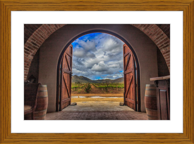 Cellar Doors