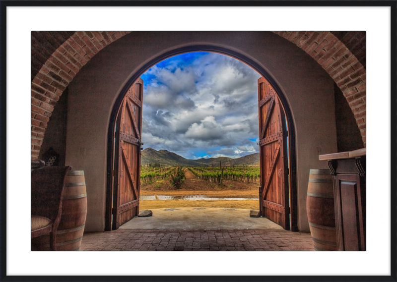 Cellar Doors