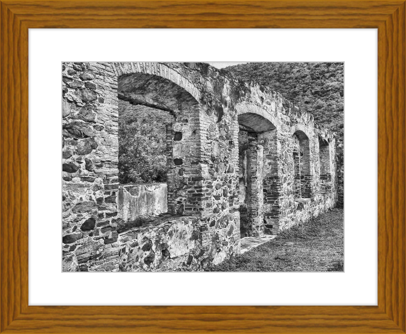 Annaberg Sugar Mill Arches - B&W