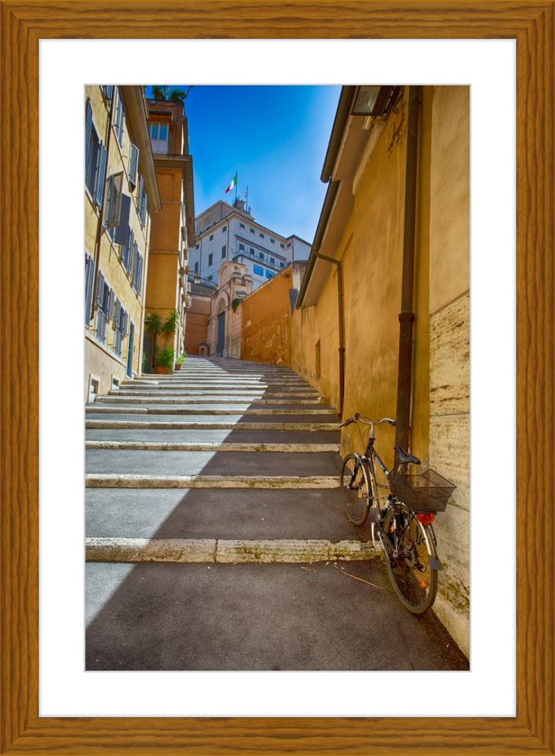 Bicycle on the Stairs