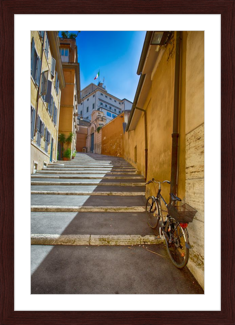 Bicycle on the Stairs
