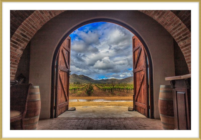 Cellar Doors